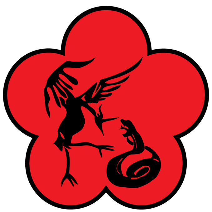 About Our School Ving Tsun Kung Fu Tallahassee FL Self Defense